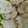 Cooksnap dari sasha untuk resep Cireng Nasi