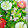 Rahinerth Sheshe's Cuisine 's cooksnap of when they made Salad.