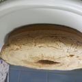 El cooksnap de Vengador Letal cuando hizo Bizcochuelo esponjoso.