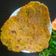 Alpa Pandya's cooksnap of when they made હેલ્થી પરાઠા (Healthy Paratha Recipe In Gujarati).