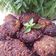 Cooksnap από Cannibal Leod στη συνταγή Vegan σουτζουκάκια από φακές