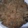 Janvi का कुकस्नैप जब उन्होंने कुट्टू का पराठा (kuttu ka paratha recipe in Hindi) बनाया था।