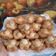 Cooksnap dari hezty susila untuk resep Tahu sarang burung