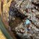 Cooksnap dari Sylvia untuk resep Brownies Panggang