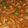 Amna Faisal's cooksnap of when they made Mutton karahi.