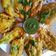 Sudha Agrawal का कुकस्नैप जब उन्होंने पालक पकौड़ा (palak pakoda recipe in Hindi) बनाया था।