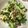 2choi's cooksnap of when they made Broccoli Raisin Slawlad.
