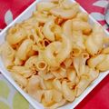 Falguni Shah's cooksnap of when they made મેકિસકન પાસ્તા (Mexican Pasta Recipe In Gujarati).