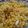 Hetal Shah 's cooksnap of when they made મીઠી બુંદી (Sweet Boondi Recipe in Gujarati).