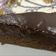 صورة من LO LO، شاركها بعد تجربة وصفة كيك شوكولاتة بسيط 🍫