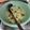 Cooksnap dari endang ria untuk resep Es Teler Simple🍹