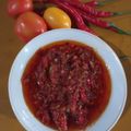 Cooksnap dari 🪻Eliza👒Mahyawi🪻 untuk resep 317. Sambal Ayam Bakar