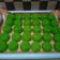 Cooksnap dari Fienahafidz untuk resep Kue bihun jadul