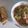 Cooksnap dari kinanthi untuk resep Oseng Sawi Putih Pedas