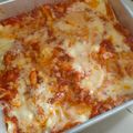 Cooksnap dari nadya untuk resep Lasagna kulit pangsit kukus