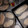 El cooksnap de Evita Carle cuando hizo Pan pita o pan árabe.