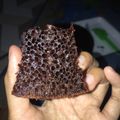 Cooksnap dari Irma Permana untuk resep Bolu sarang semut / bolu caramel rice cooker