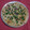 Rekha Ramchandani's cooksnap of when they made કરારી રૂમાલી રોટી (Karari Rumali Roti Recipe in Gujarati).
