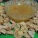 Cooksnap dari Augustina Sirat untuk resep Ayam fillet saus lemon madu