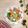 Cooksnap dari Nyanyah untuk resep Cap Jay Simple