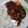El cooksnap de Kary M T cuando hizo Costillas de cerdo en chile guajillo.