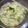 Cooksnap dari DS untuk resep Sayur Sawi Putih pakai Bakso dan Telur