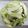 蕪妍 的 檸檬芭樂 cooksnap