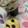 El cooksnap de Alizzz cuando hizo Chocolate chip cookies!!!.