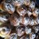 La cooksnap de Romina Rigonat cuando cocinó Espirales con dulce de leche