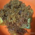Cooksnap dari Fatmawati untuk resep Ayam goreng kremes Lengkuas