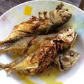 Cooksnap Salina Jalaludin semasa beliau membuat Ikan Goreng.