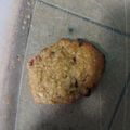 El cooksnap de leticia olmedo cuando hizo Galletitas de frutillas, chocolate y avena.