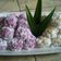 Cooksnap dari Aqeela Ibnu untuk resep Klepon Buah Naga