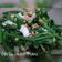 Cooksnap dari Mae's kitchen untuk resep Garlic Beans