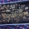 Cooksnap dari Tri Umiatik untuk resep Pennylane Brownies