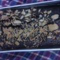 Cooksnap dari Tri Umiatik untuk resep Pennylane Brownies