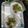 Sukla Sil's cooksnap of when they made পুদিনা লস্যি (pudina lassi recipe in Bengali).