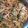 Cindy Ensign's cooksnap of when they made Pasta Carbon with Peas & Asparagus.