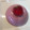 El cooksnap de cachorro82 cuando hizo Flan de fresas con Agar Agar.