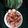 Barnali Debdas's cooksnap of when they made মটন বিরিয়ানি (Mutton biryani recipe in Bengali).