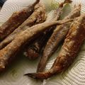 El cooksnap de Paola Lozano Zafra cuando hizo Bacaladillas frescas fritas.
