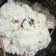 Cooksnap dari Kitchen's untuk resep Nasi Uduk Gurih Magic Com