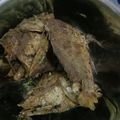 Cooksnap dari Bundadya untuk resep 124.Bumbu marinasi ikan goreng
