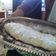 El cooksnap de Mechi Love cuando hizo Strudel de manzanas.