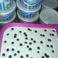Cooksnap dari Millan Mulyadi untuk resep Es Krim Susu 'homemade'