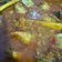 Cooksnap dari Galuh Nurfadillah untuk resep Bau Piapi (ikan kuah khas Mandar)