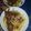 Cooksnap dari serikat rejeki untuk resep Mie Ongklok Wonosobo