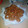 El cooksnap de Rocío González cuando hizo Aros de cebolla caseros.