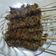 Cooksnap dari Piita Loxha untuk resep Sate Kerang Dara