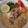 Cooksnap dari Maulia Intania untuk resep Soto Betawi Kuah Santan + Susu